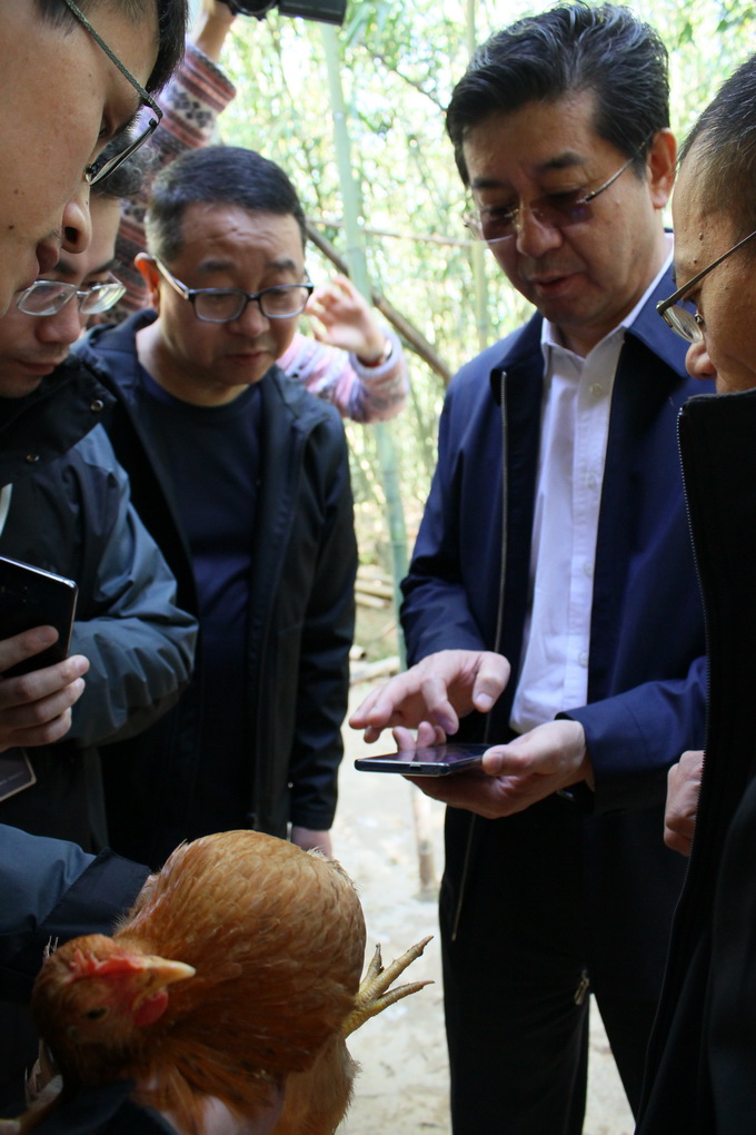 圖片關鍵詞
