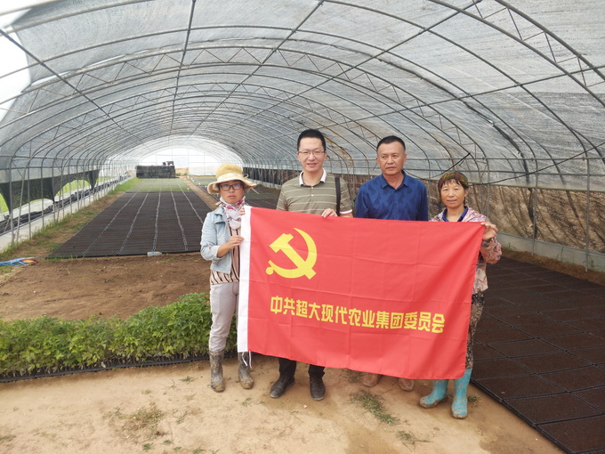 圖片關鍵詞