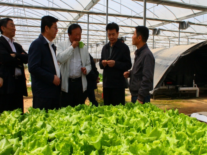 超大精準扶貧模式及綠色生產方式獲肯定