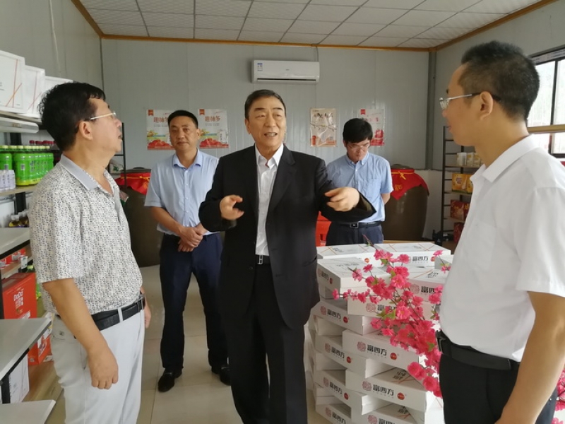 超大再赴富平縣考察對接
