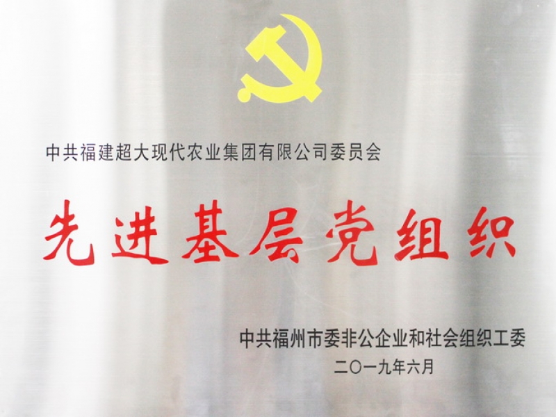 超大集團黨委被評為“福州市先進基層黨組織”