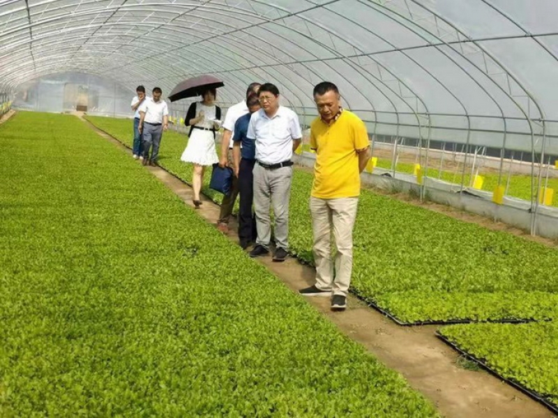 中國高新技術產業經濟研究院李文輝院長一行蒞臨甘肅臨洮超大智慧農場調研