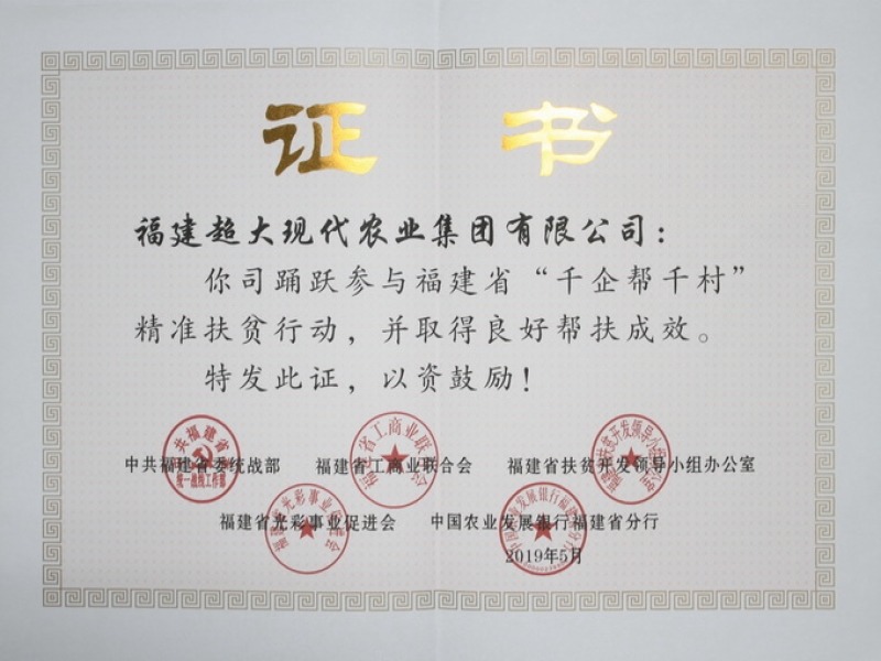 超大榮獲福建省“千企幫千村”精準扶貧行動先進民營企業