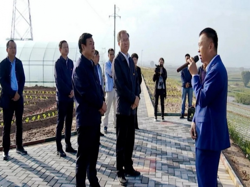 臨洮縣委理論學習中心組“不忘初心、牢記使命”專題學習會議在超大新添智慧農場召開
