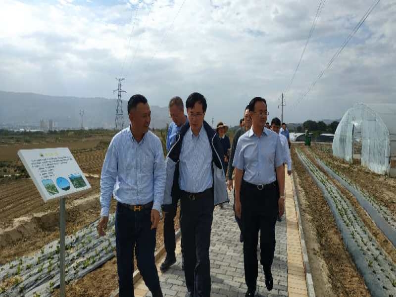 福州市委副書記林飛一行調研甘肅臨洮超大智慧農場