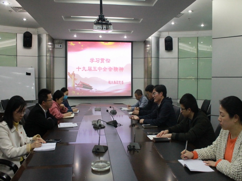 悟于心 踐于行 落于實 以全會精神引領企業高質量發展——超大黨委學習貫徹十九屆五中全會精神