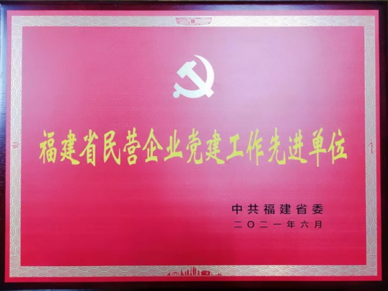 超大黨委榮獲“福建省民營企業黨建工作先進單位”榮譽稱號