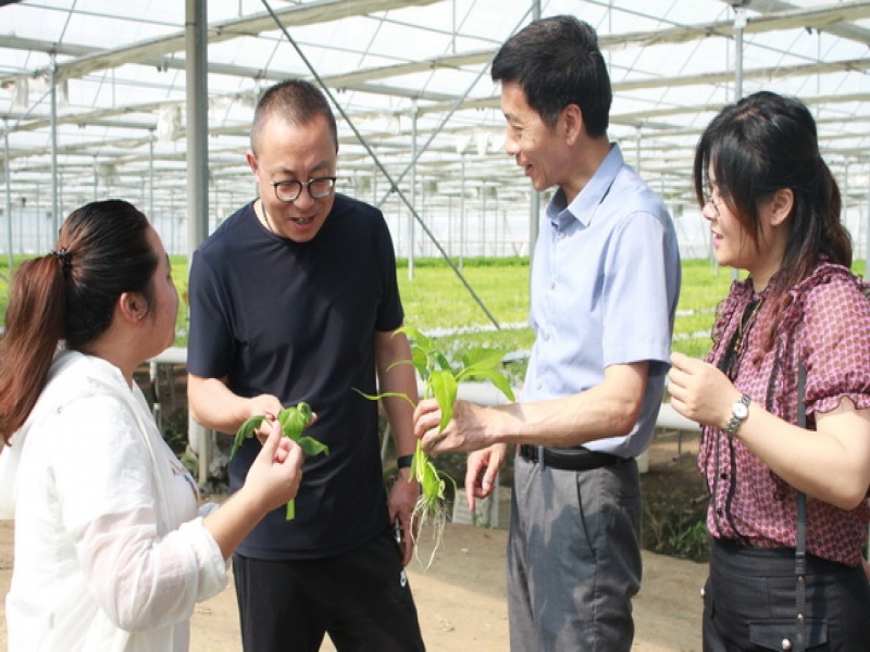 上海市嘉定區華亭鎮萬斌斌副鎮長一行訪問超大