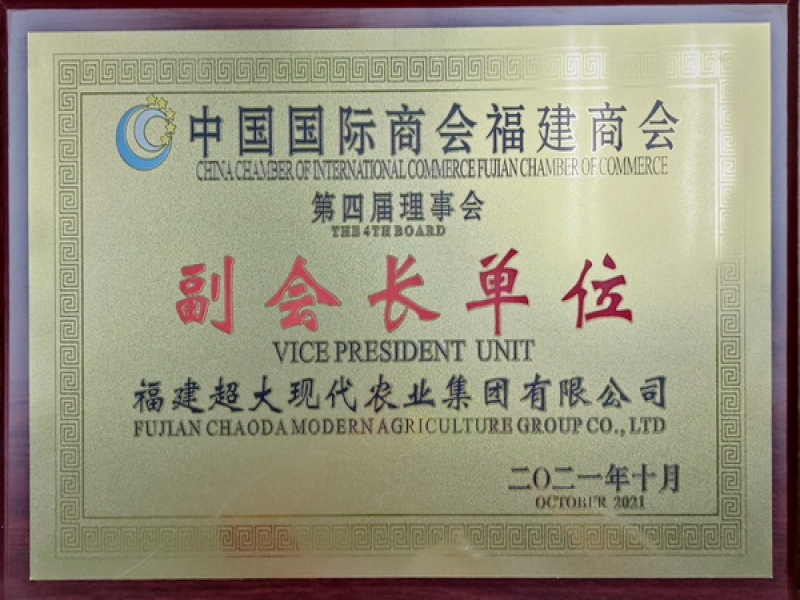 超大當選中國國際商會福建商會副會長單位